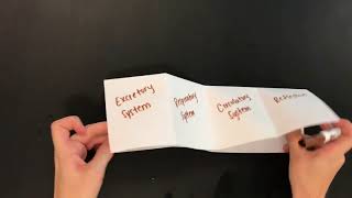 How To Make Your Reflection Foldable Pt. 2