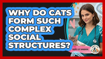 Why Do Cats Form Such Complex Social Structures? - Happy Cat Handbook