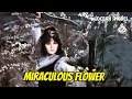 Wu Tang Collection - Miraculous Flower