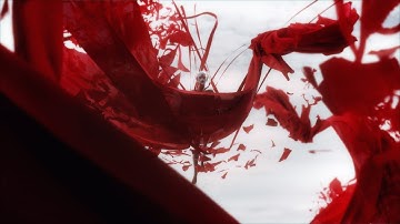 The Curry Tian Collection | Official Trailer | Montage