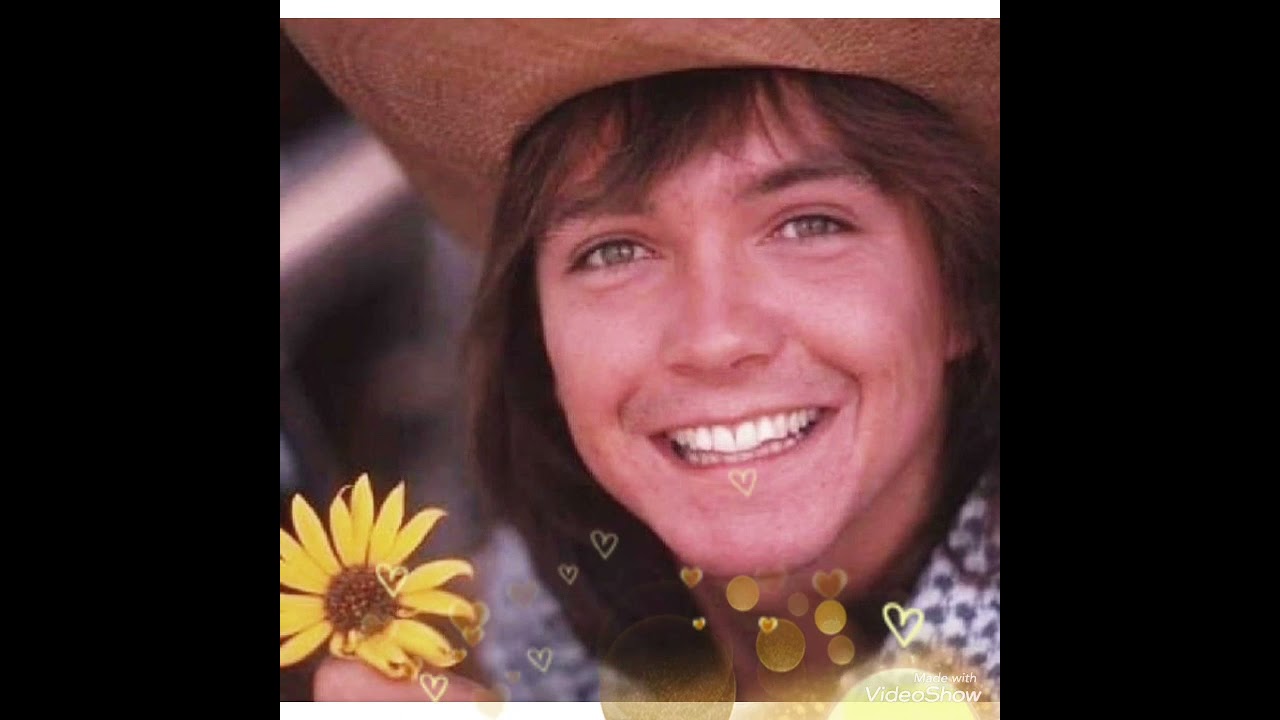 Random Acts of Kindness Day in Memory of David Cassidy please sign 