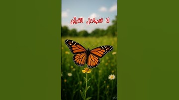 قل هو الله أحد، سورة الإخلاص، القرآن الكريم #quran #المصحف #قرآن