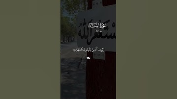 تلاوه خاشعه ياسر الدوسري #قران #ياسر_الدوسري  #quran #قران_كريم #تلاوة_خاشعة #alaa_mustafa_1