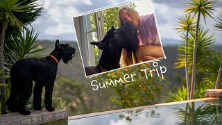Summer Trip With Giant Dog | Ep. 11 | Life with Giant Schnauzer