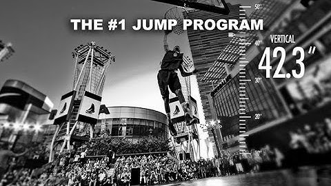 The Best Vertical Jump Training Program to Increase Your Vertical