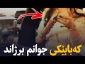 چۆن وەصطایەکی کەباب م هاورییان جەماعەتی کەباب خۆر بینەر بن تاکۆتایی کباب تابه ای کەباب