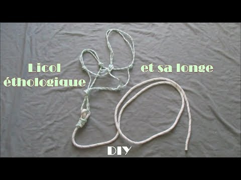 [DIY] Le licol éthologique et sa longe (Tuto)