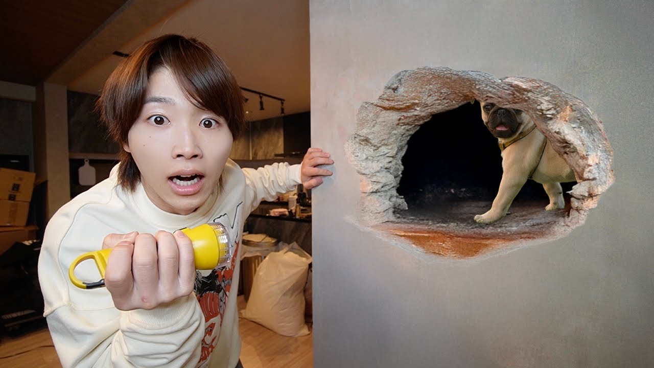 家から物音、、絶対に何かいる…