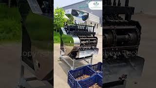 Latest Cashew Nut Cutting Machine | Vietnam Design | Oscar Cashew Tech Pvt. Ltd.
