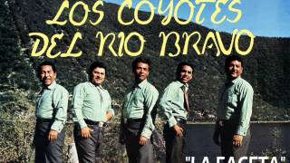 Los Coyotes Del Río Bravo - La Faceta (Polka) chords