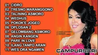 New Pallapa Campursari Tresno Waranggono Full Album