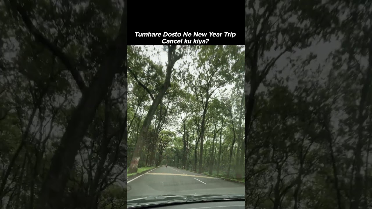 New Year, Christmas Trip, Friends Trip, Every Trip cancel 