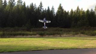 Extra 260 150cc hover and and torque roll 3D