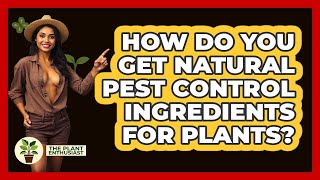 How Do You Get Natural Pest Control Ingredients For Plants? - The Plant Enthusiast