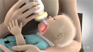 Calma By Medela At Babanbaby