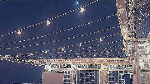 Fairy Lights & Globe Lights Canopy