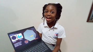 Harlisse Polygon Presentation