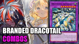 3 VERY GOOD Branded Dracotail Combos You Need to Know