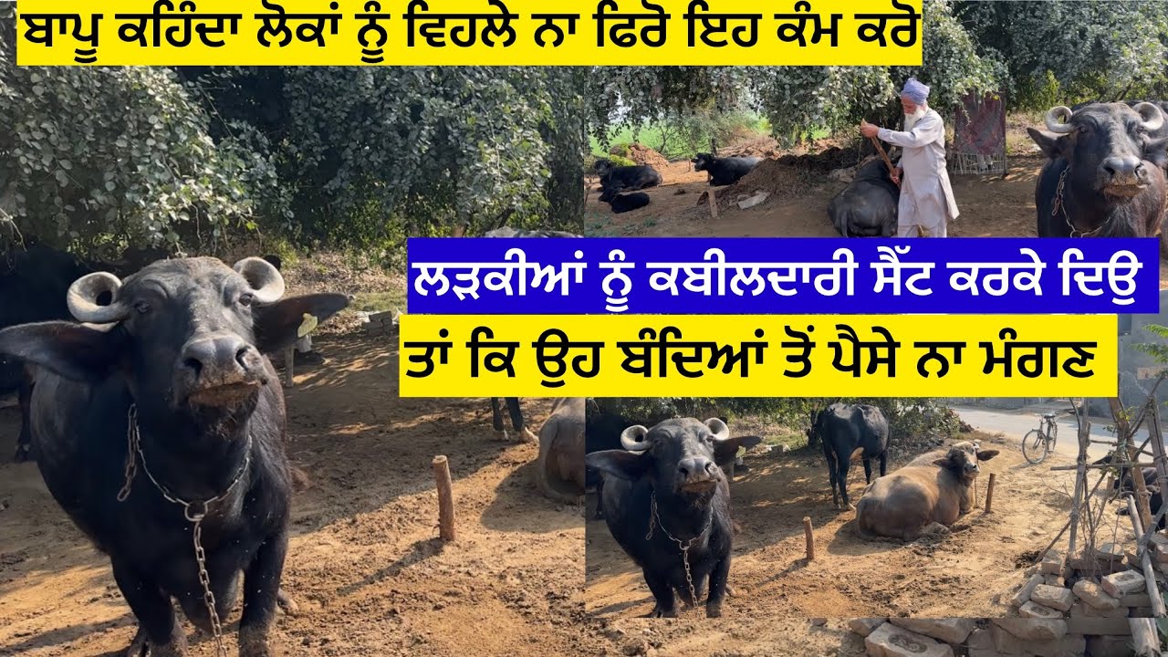 ਬਾਪੂ ਕਹਿੰਦਾ ਲੋਕਾਂ ਨੂੰ ਵਿਹਲੇ ਨਾ ਫਿਰੋ ਇਹ ਕੰਮ ਕਰੋ ਲੜਕੀਆਂ ਨੂੰ ਕਬੀਲਦਾਰੀ ਸੈੱਟ ਕਰਕੇ ਦਿਉ ਤਾਂ ਕਿ ਉਹ ਬੰਦਿਆਂ ……