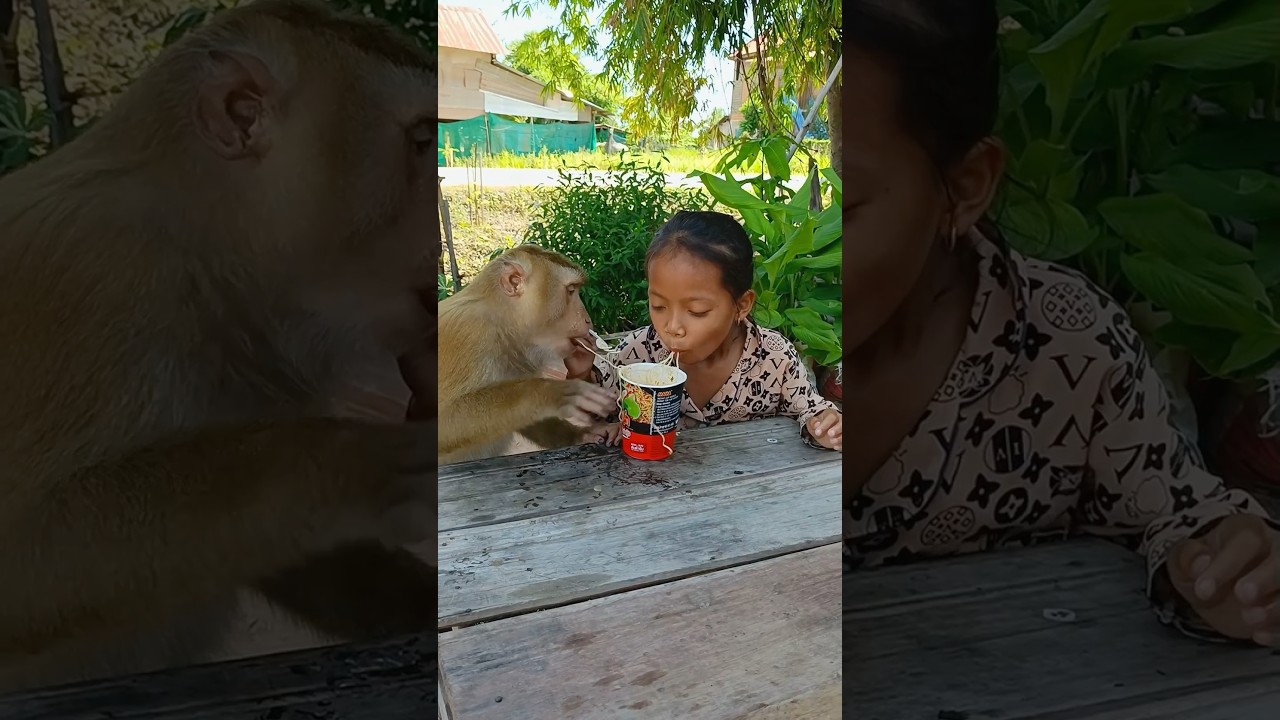 Amazing sister and SokYaa enjoy eating yellow noodles so much