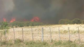 Incendio Río Negro 2017. Fuego Plantel 2
