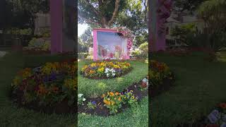Jardim em Santa Cruz #madeiraisland #travel #ilha #subscrever #shortsvideo