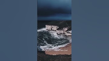 القارئ: محمد هشام، سورة: يوسف، الايه: 83💗✨