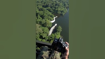 Massive White Hybrid Anaconda Caught on Camera in Amazon River! | Real Footage | omg