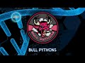 THE GENETIC CANVAS- SPONSOR SHOWCASE- Featuring BULL PYTHONS -EP41
