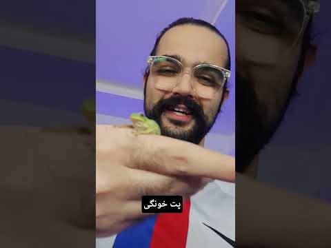 پت بقیه  پت من