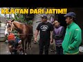 REVIEW 5 EKOR KUDA PACU DARI KONTINGEN JATIM BARENG PELATIH DAN JOCKY HEBAT ASLI DARI JAWA TIMUR !!!