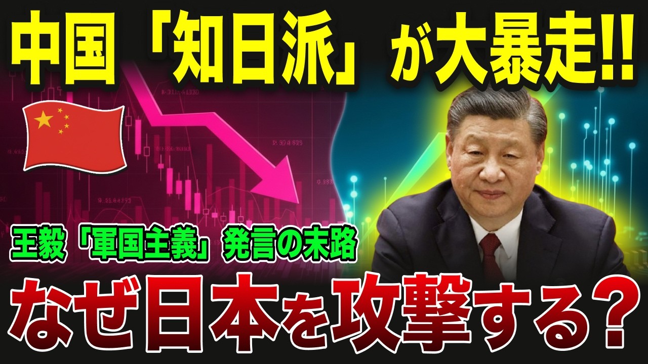 【ゆっくり解説】王毅外相ミュンヘンで禁じ手発言！茂木外相の冷徹な格下げ反撃と中国外交72歳の末路