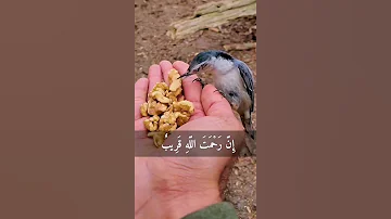 صدق الله العظيم 
