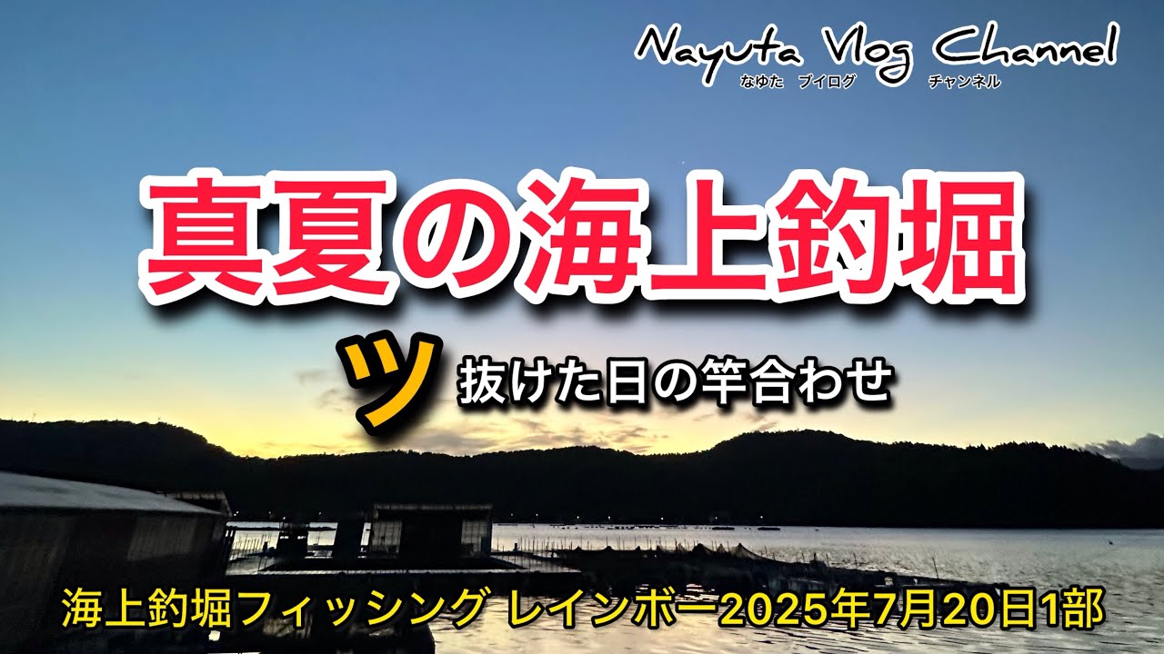 【海上釣堀】フィッシングレインボー2025年7月20日1部貸切釣行　#釣り #海上釣堀#fishing