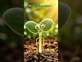 Sự thật phũ phàng đằng sau cái mác nông sản hữu cơ #nongsanhuuco #thucphamsach #suckhoe #meovat