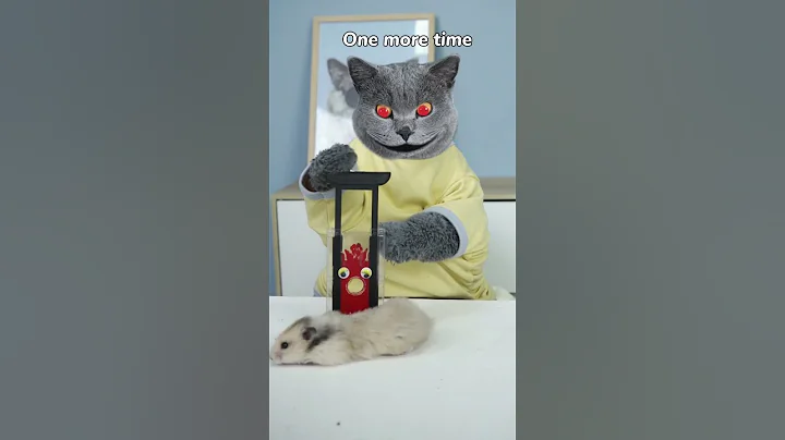 What Horrors Unfold When Magic’s Secret Is Exposed?😱 #funnycat #prank #magic - DayDayNews