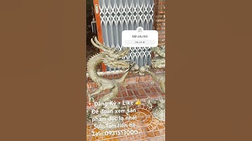 Cặp rồng bằng đồng #đồcổcầnthơ #phongthuy #đồcổ #lưđồng #tượngđồng