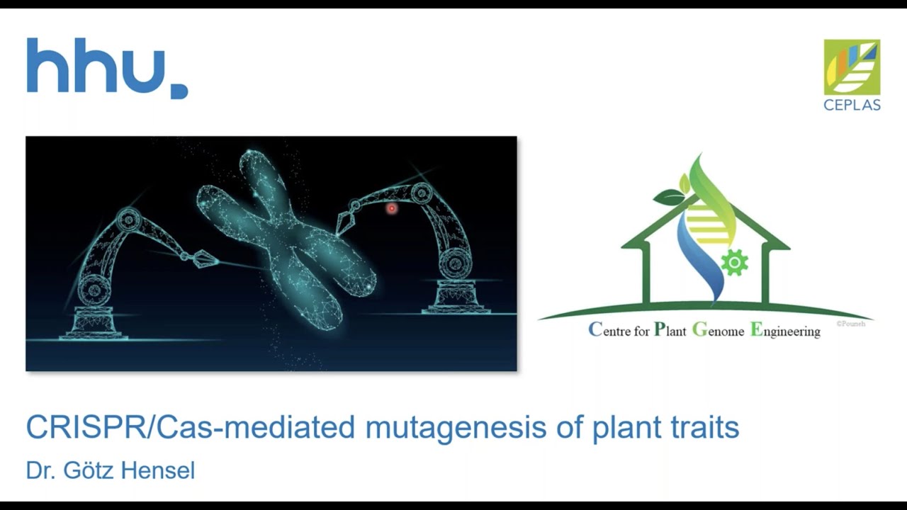 On the #UKPlantSciPresents webinar Goetz Hensel discusses his reseach on gene editing in crops.