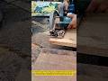 Fast & Clean Wood Cutting with a Circular Saw | DIY Power Tool Shorts