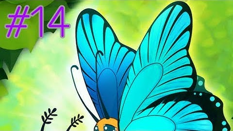 Flutter Butterfly Sanctuary (part 14 : seeing my sanctuary (2021 edition))