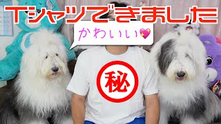 【かわいいTシャツ】オハナとパトラのTシャツが出来ました✌️SUZURIでTシャツとステッカー購入したよ❗️