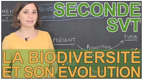 Qu'est-ce que la biodiversité passée ?