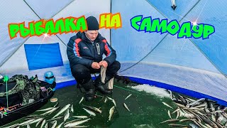 РЫБАЛКА 2021 КЛЕВАЯ РЫБАЛКА ЗИМОЙ из подо льда на самодур БЕШЕНЫЙ КЛЕВ