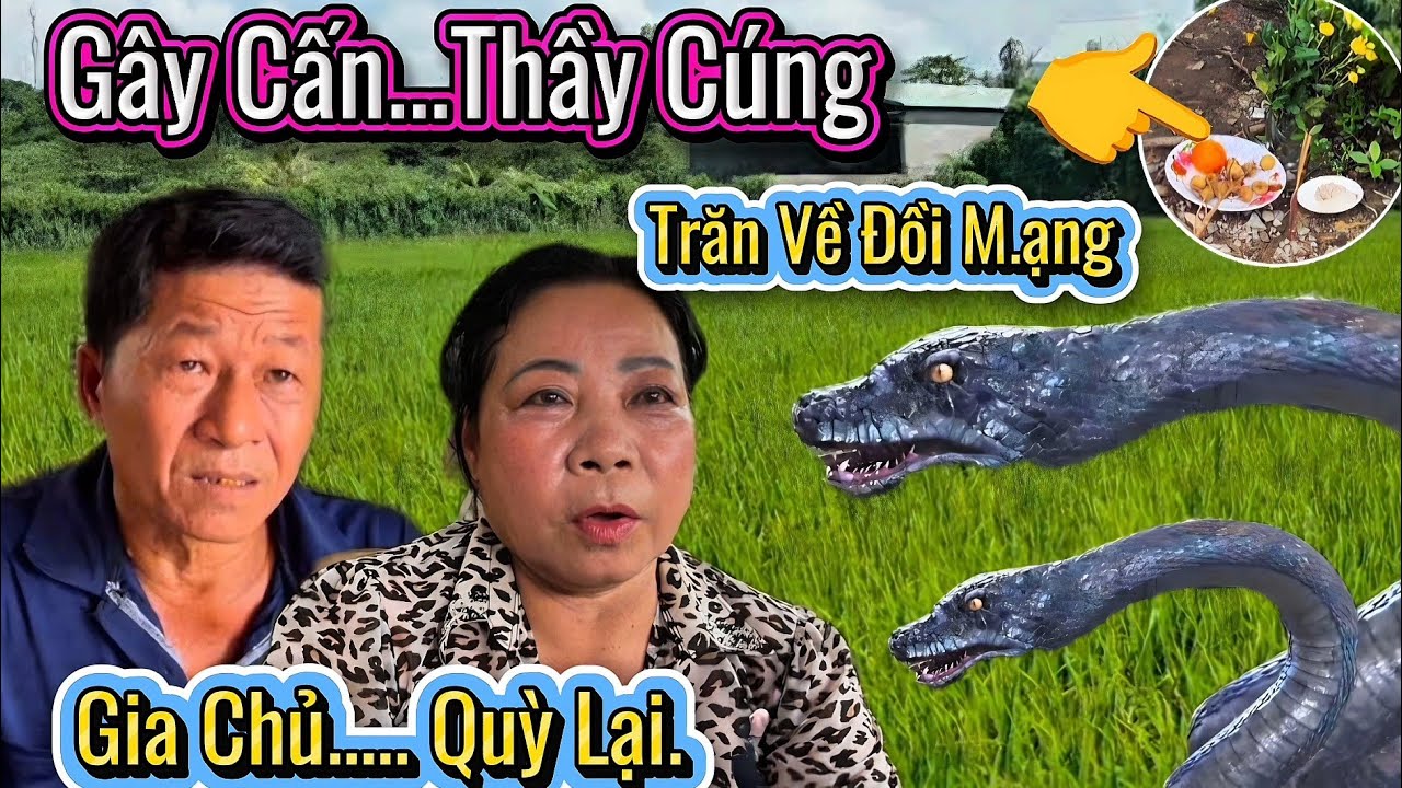 Gây Cấn Sức Hiện Thầy Cúng Giải Cứu Gia Chủ. Giải Nghiệp Trăn Phóng Sanh Cả Xóm Bất Ngờ.