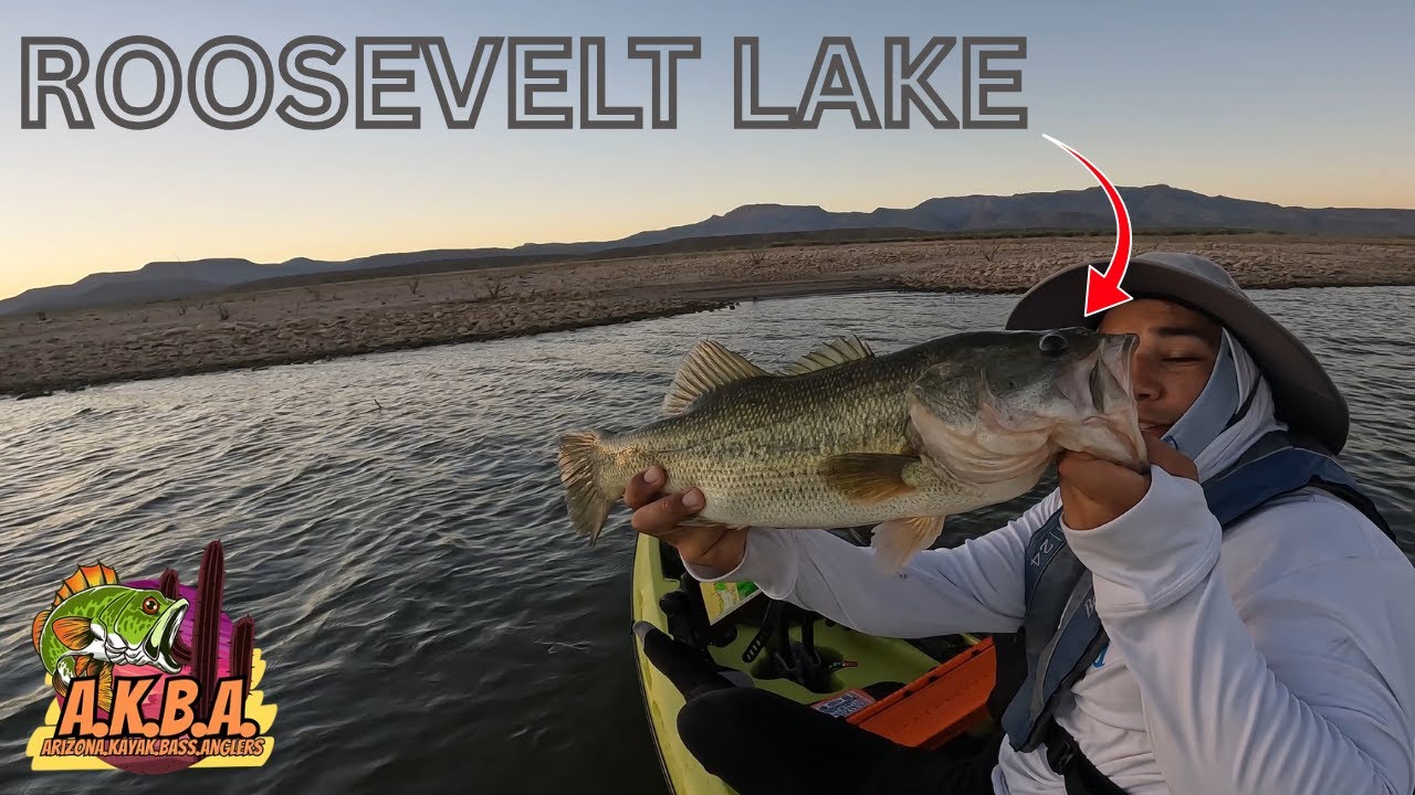 TRC TIP CEO NGUYN PHNG HNG CHIA S MI NHT - Video