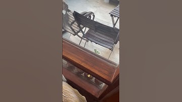 iOS 16.6.1 update on iPhone 14