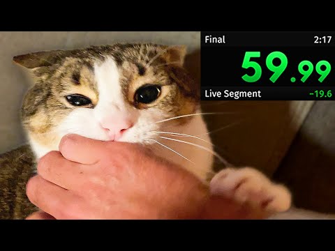 Annoying My Cat Until He Gives Up The Chair Speedrun 2 (100%)