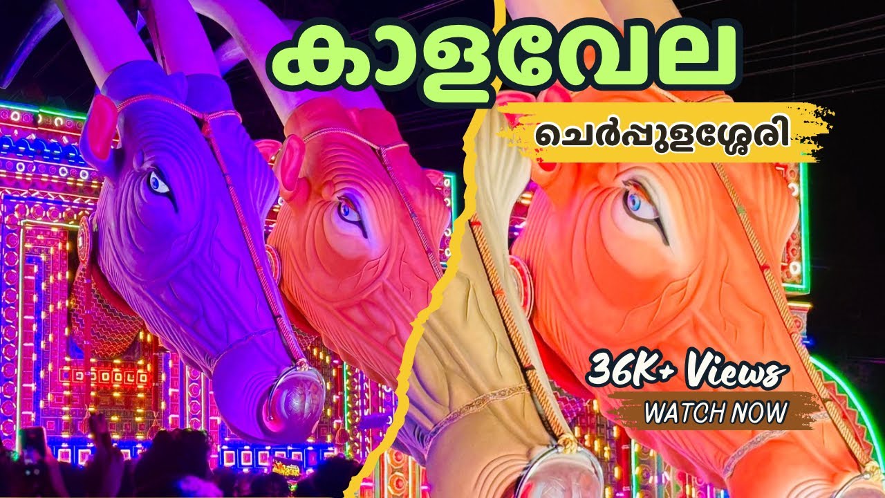 Cherpulassery Puthanalkkal Kalavela 2025 | Kalavela | Kala Vela | Pooram |