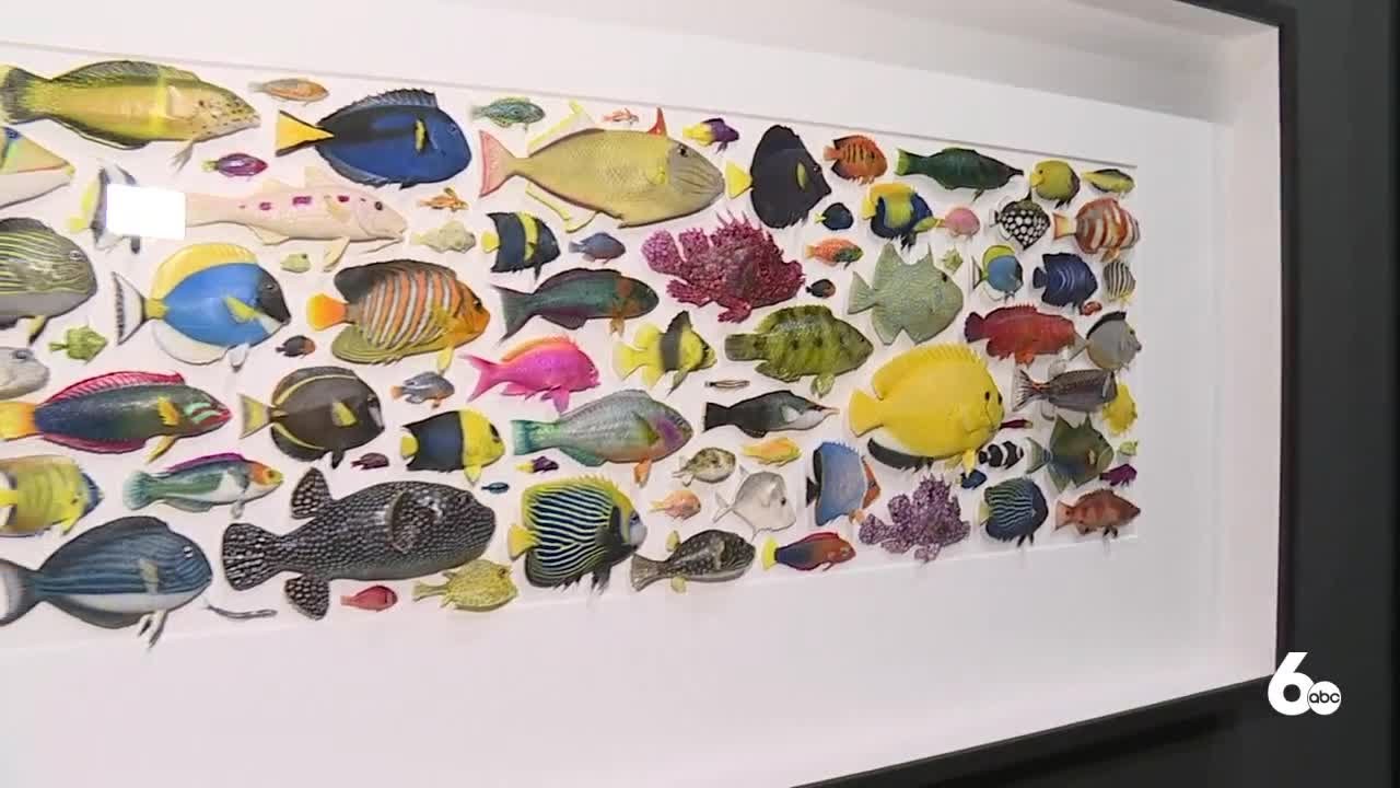 Discovery Center welcomes 'Exquisite Creatures'