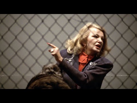 Video: Gena Rowlands dan John Cassavetes